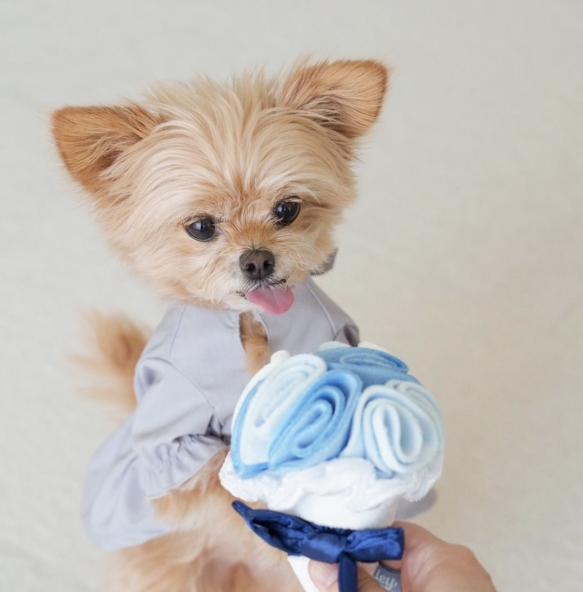 Happy wedding bouquet with toys｜新婚愉快捧花藏食玩具  