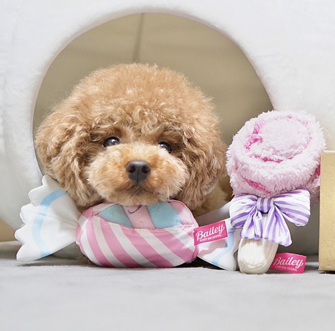 Lollipop hidden food toy that only melts in your mouth ｜甜心棒棒糖藏食玩具 S