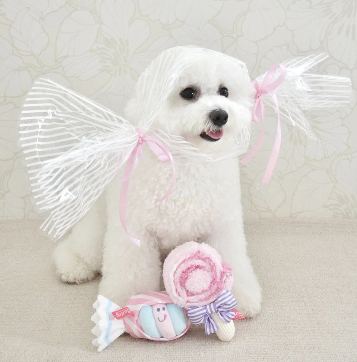 Lollipop hidden food toy that only melts in your mouth ｜甜心棒棒糖藏食玩具 S