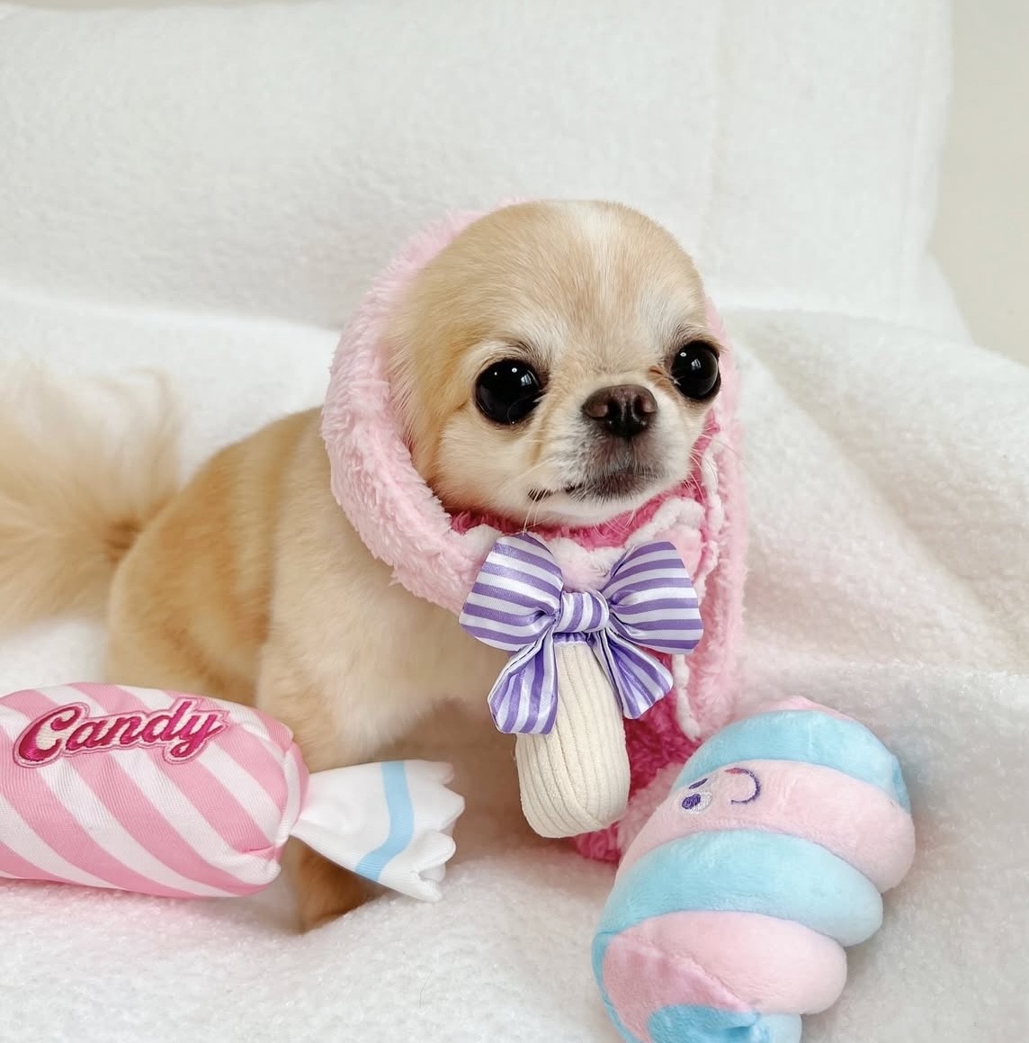 Bubble gum hidden food toy that only melts in your mouth ｜甜心泡泡糖藏食玩具 