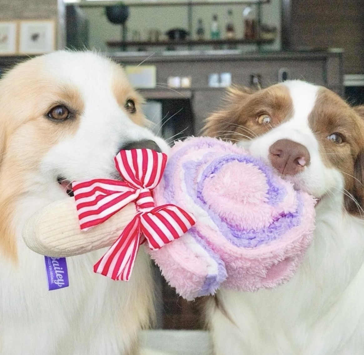 Bubble gum hidden food toy that only melts in your mouth ｜甜心泡泡糖藏食玩具 