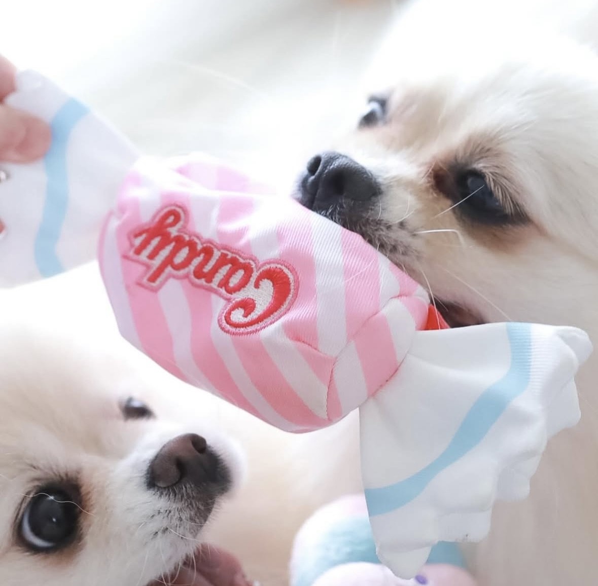 Bubble gum hidden food toy that only melts in your mouth ｜甜心泡泡糖藏食玩具 