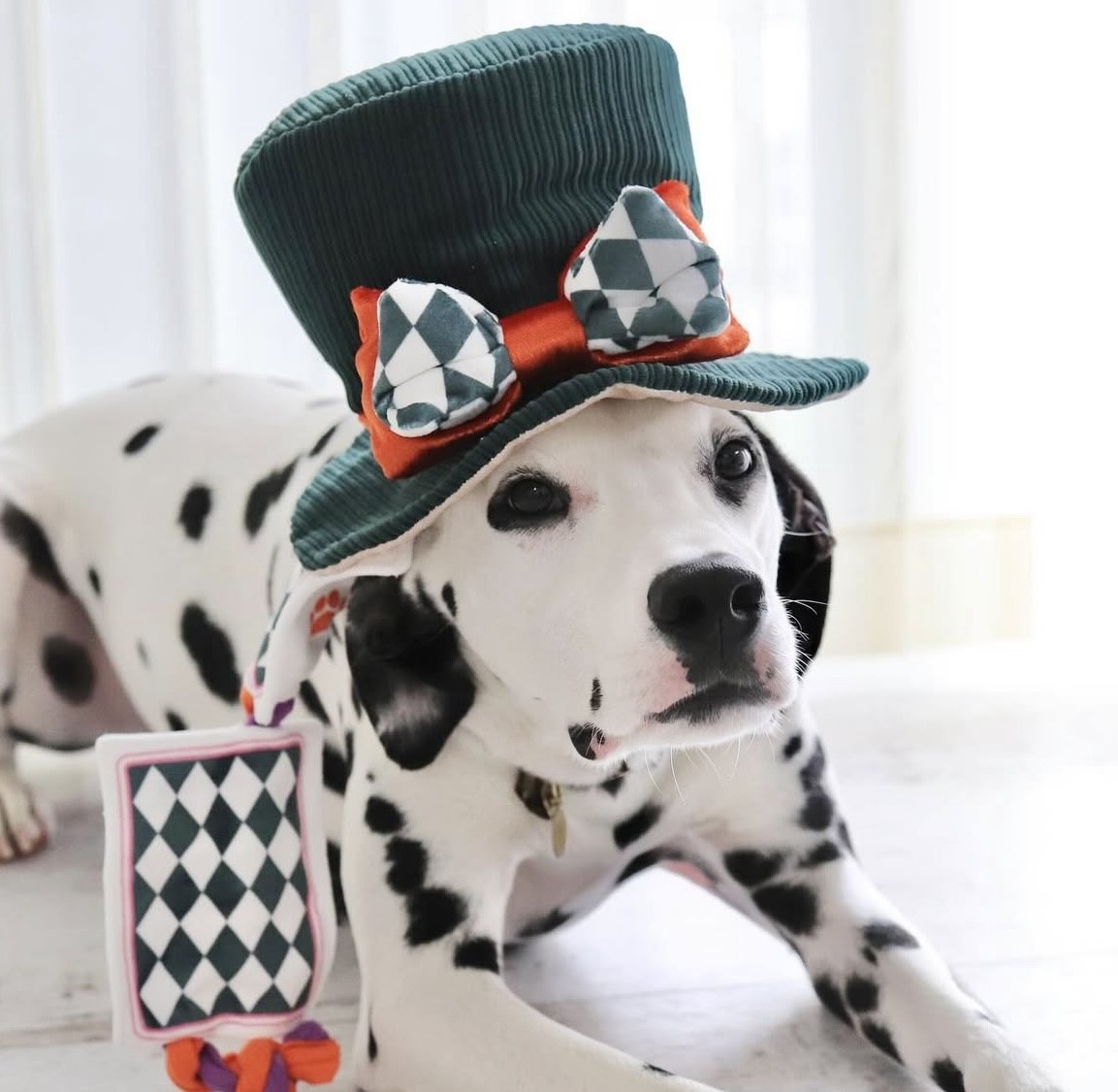 magic carnival magic hat ｜魔法嘉年華的魔術帽S