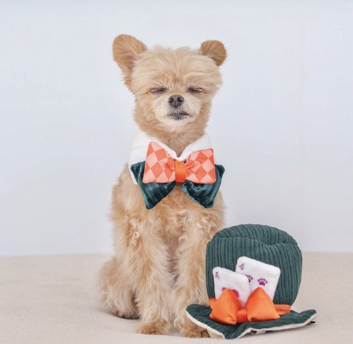 Magical Carnival Bow Tie ｜魔法嘉年華的領結