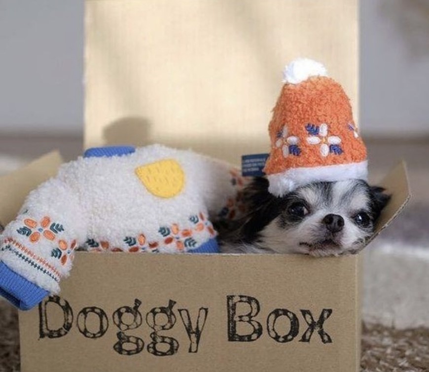 embroidered fur hat toy ｜刺繡毛帽玩具 