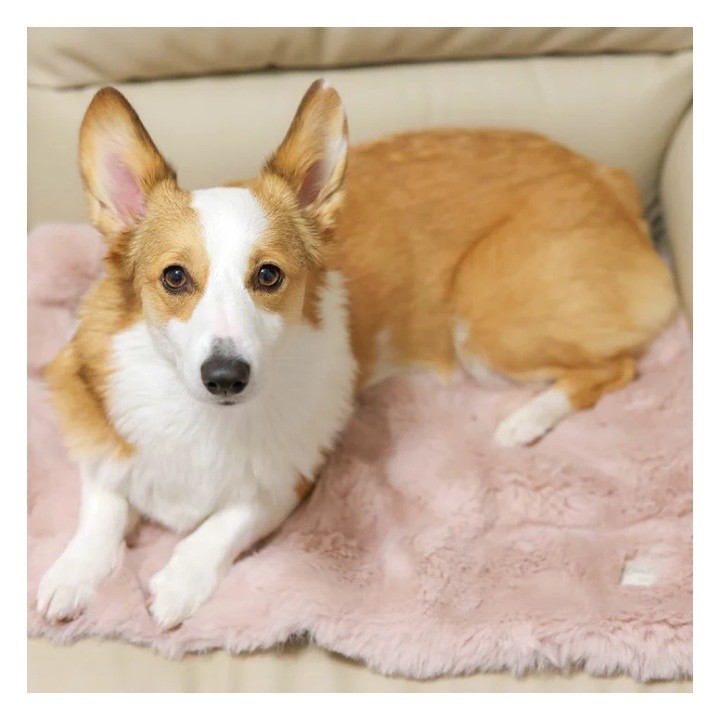 Anti-slip fur blanket  ｜防滑類皮草毛毯 杏