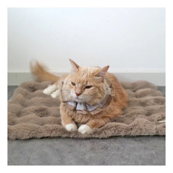 Anti-slip fur blanket  ｜防滑類皮草毛毯 棕