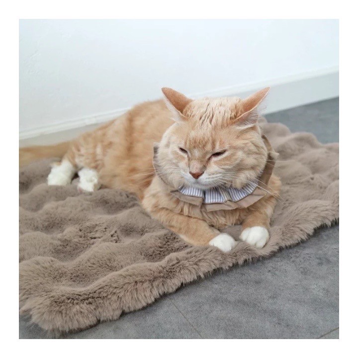 Anti-slip fur blanket  ｜防滑類皮草毛毯 棕