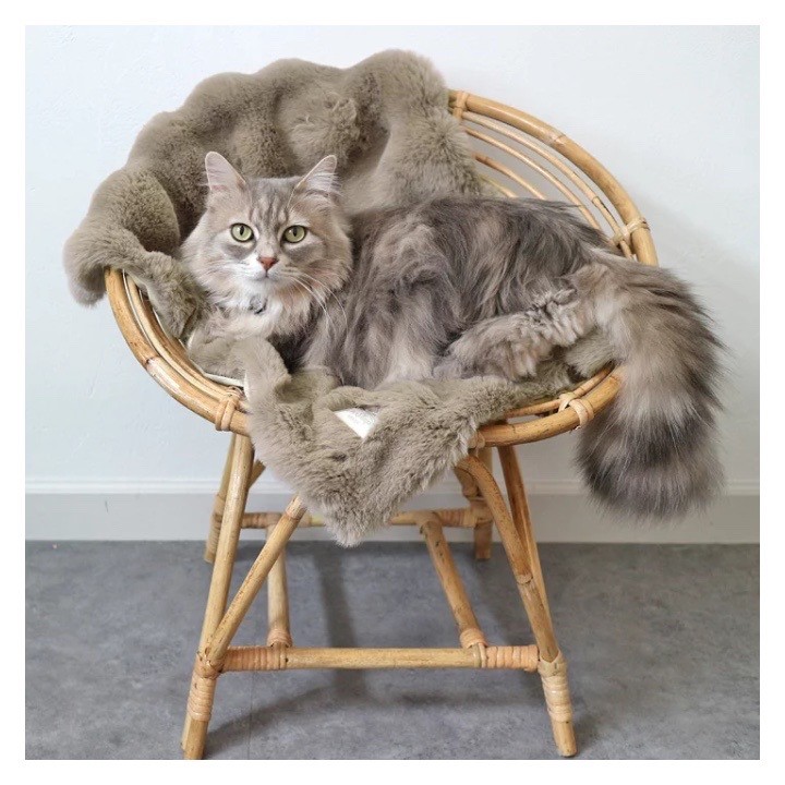 Anti-slip fur blanket  ｜防滑類皮草毛毯 棕