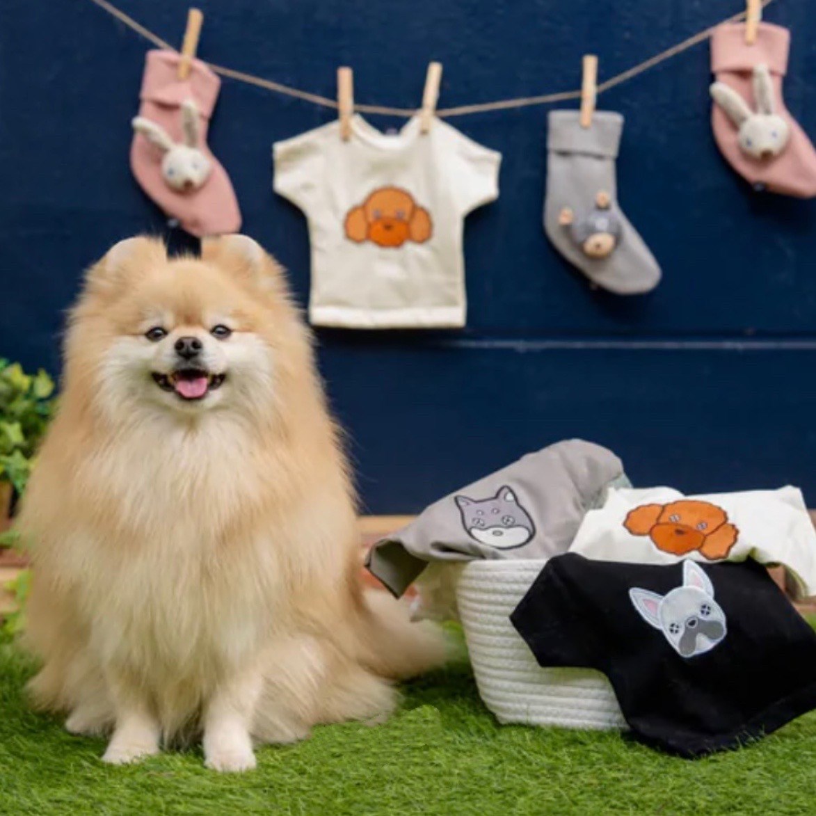 FAD 咬咬T (柴犬)｜嗅聞玩具