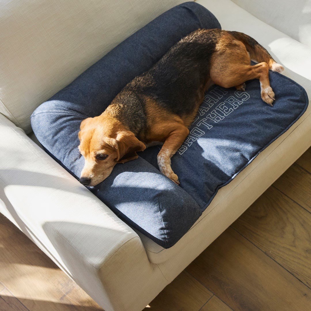 HEAD REST BED | L型靠枕沙發床 藍