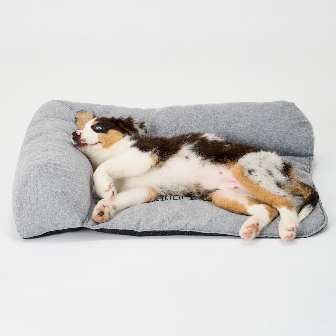 HEAD REST BED | L型靠枕沙發床 藍