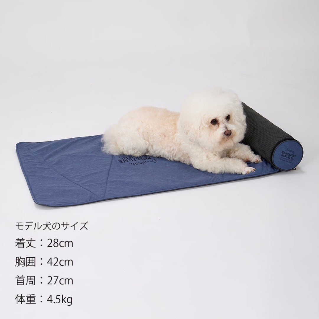 ICY COZY MINI MAT | 夏季急凍迷你墊 藍