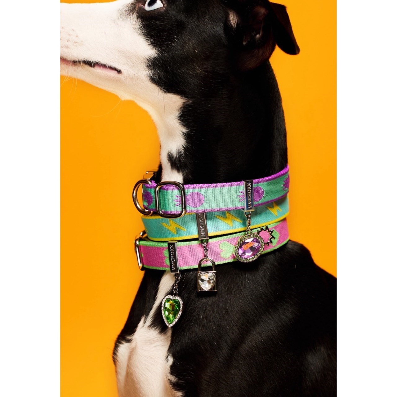 mmchokk- bow 蝴蝶結項圈/牽繩禮盒系列  