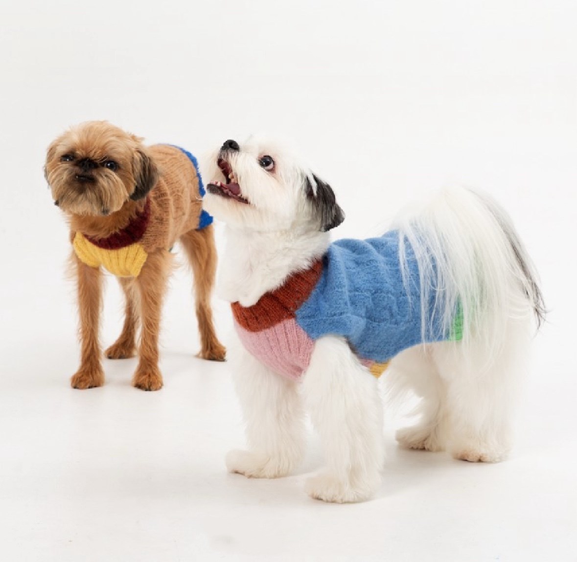 編織麻花100%羊毛上衣 咖啡